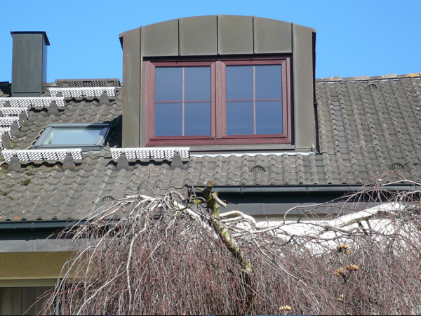 Segmentbogengaube, Leonberg-Höfingen